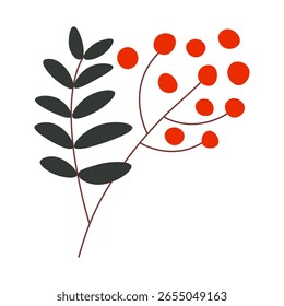 Rowan berry in simple flat style. Autumn isolated element for design.