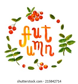 Rowan berry watercolor vintage hand drawn background and card with handwritten Autumn text vector