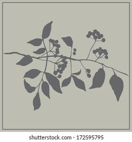 rowan branch