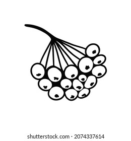 Rowan Zweig. Beeren. Vektorgrafik für Druck, Hintergründe, Umschläge, Verpackungen, Grußkarten, Plakate, Aufkleber, Textilien und saisonales Design. Einzeln auf weißem Hintergrund.
