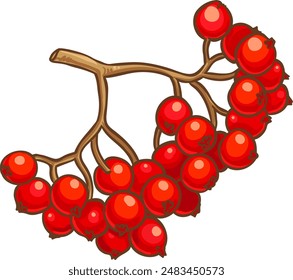 Rowan Branch Colored Detailed Illustration