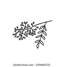 rowan branch in hand drawn style. Scandinavian simple doodle style.