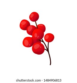 Rowan branch isolated on white.