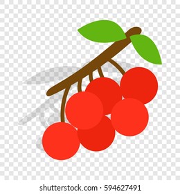 Rowan branch isometric icon 3d on a transparent background vector illustration