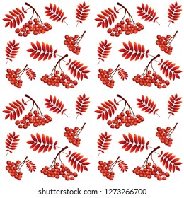 Rowan branch with leaf and berries seamless background