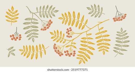 Rowan branch linocut illustration set. Hand drawn graphic. Cute color drawing of fall element. Flat autumn leaves and berries.