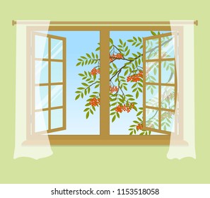 Rowan branch outside the window. Orange berries with green leaves. Open window with curtains on a green background. Vector illustration