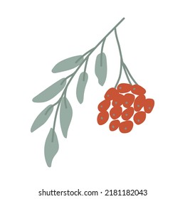 A rowan branch, painted in doodle style. Cozy autumn. Flat vector illustration
