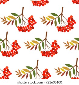 Rowan branch seamless pattern. Colorful vector illustration. Element for print. fabric and textile design. Good for kids fashion, book decoration, poster, wrapping paper.