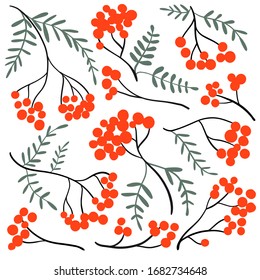 Rowan branch set. Collection with simple abstract hand drawn red berries and leaves. Floral simple minimalistic graphic design with flat doodle plants. Botany autumn illustration. Vector elements