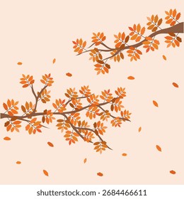 Rowan Vector de rama ideal para el fondo de otoño o cualquier uso decorativo.