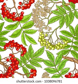 rowan branch vector pattern