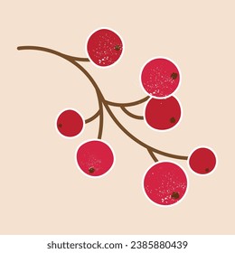 Rowan Branches with Berry Clusters. Vector illustration of rowan branch with red berries, autumn and winter plant. Winter berry. Merry Christmas. Mistletoe and Candy Cane