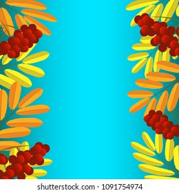Rowan branches borders isolated on blue background. Vector illustration. Autumn design.