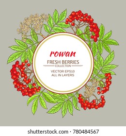 rowan branches vector frame on color background