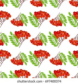 Rowan bunch berries red ripe leaf tree autumn season natural fruit vector illustration. Bunch of juicy rowan berries vitamin plant. Seamless pattern background christmas bright delicious decoration.