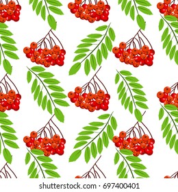 Rowan bunch berries red ripe leaf tree autumn season natural fruit vector illustration. Bunch of juicy rowan berries vitamin plant. Seamless pattern background christmas bright delicious decoration.