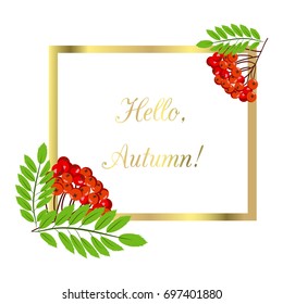 Rowan bunch berries red ripe leaf tree autumn season natural fruit vector illustration. Bunch of juicy rowan berries vitamin plant. Rowan-tree macro seasonal christmas bright delicious decoration.