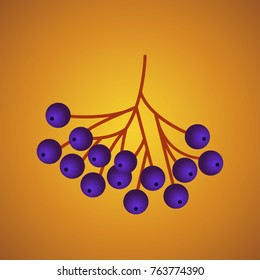 Rowan bunch berries red ripe leaf tree autumn season natural fruit vector illustration. Bunch of juicy rowan berries vitamin plant. Rowan-tree macro seasonal christmas bright delicious decoration.