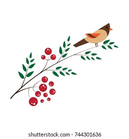 Rowan bunch of red berries red ripe leaf tree autumn season natural fruit vector illustration, seasonal Christmas bright delicious decoration.