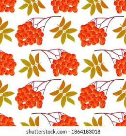 Rowan bunches seamless pattern with leaves.Colorful print with repeating elements.Bright berries with autumn foliage on a white background.Vector illustration.