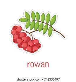 Rowan cartoon style. Vector eps 10