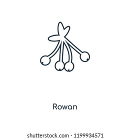 Rowan concept line icon. Linear Rowan concept outline symbol design. This simple element illustration can be used for web and mobile UI/UX.