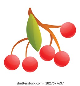 Rowan foliage icon. Cartoon of rowan foliage vector icon for web design isolated on white background