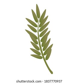 Rowan green branch icon. Cartoon of rowan green branch vector icon for web design isolated on white background