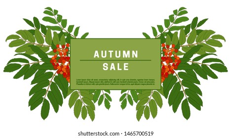 Rowan green branches with red berries on a white background with white text autumn