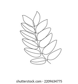 rowan hand drawn sketch vector illustration