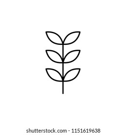 rowan icon. Element of nature icon for mobile concept and web apps. Thin line rowan icon can be used for web and mobile