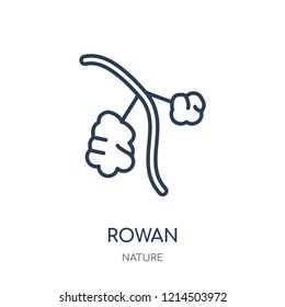 Rowan icon. Rowan linear symbol design from Nature collection. Simple outline element vector illustration on white background.