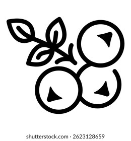 Rowan icon. Outline rowan vector icon for web design isolated on white background