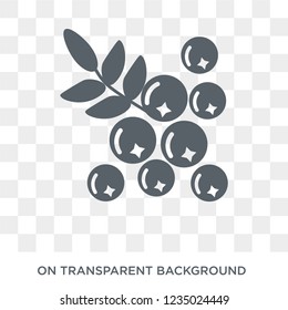 Rowan icon. Trendy flat vector Rowan icon on transparent background from nature collection. 