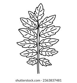 Rowan Blattlanddoodle. Schwarz-Weiß-Vektorgrafik einzeln auf weißem Hintergrund