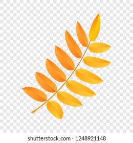 Rowan leaf icon. Flat illustration of rowan leaf vector icon for web design