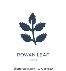 rowan leaf icon vector on white background, rowan leaf trendy filled icons from Nature collection, rowan leaf vector illustration