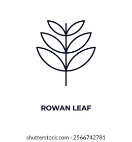 rowan leaf outline icon. Linear vector from nature concept. Thin line rowan leaf icon isolated on white background