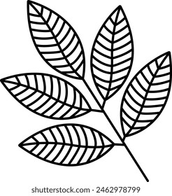 Rowan Leaf outline icon vector illustration