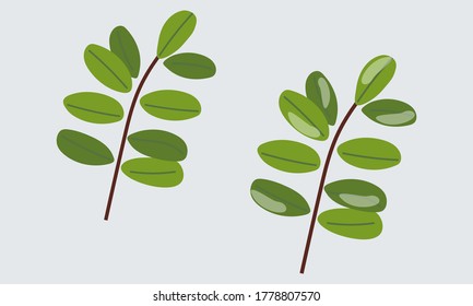 Hojas rojas lisas y congeladas.
Composición vectorial en estilo plano.