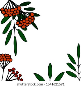 Rowan leaves and berries vector frame. Hand drawn vector illustration.  Autumn. Place for a headline, copy space.