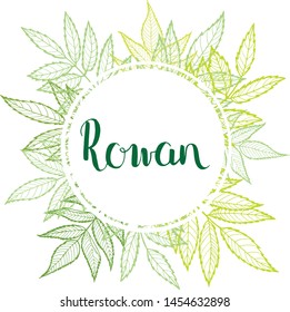 Rowan leaves. Vector floral frame with space for text. For social media, blog posts, advertising banners.