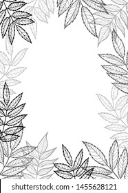 Rowan leaves. Vector floral frame with space for text. For social media, blog posts, advertising banners.