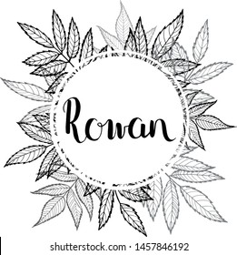 Rowan leaves. Vector floral frame with space for text. For social media, blog posts, advertising banners.