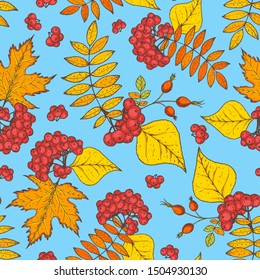 Rowan and maple leaves seamless pattern. Hand drawn background. Colorful vector illustration. Cute design with maple leaves and rowan. 