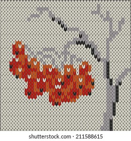 Rowan on knitted surface