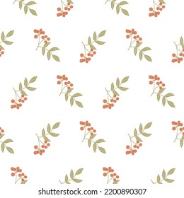 Patrón de Rowan. Plantas otoñales en un patrón para textiles, telas, cortinas, papel pintado. Bayas rojas.