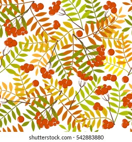 Rowan pattern on white background