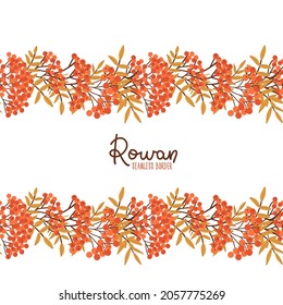 Rowan seamless border. Leaf fall pattern. Flat Vector illustration of botanical garland. Red rowan berries and yellow autumn leaves.